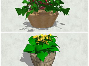 精品陶罐花卉綠植景觀小品花缽SU模型設(shè)計(jì)圖下載與植物景觀庫(kù)應(yīng)用指南